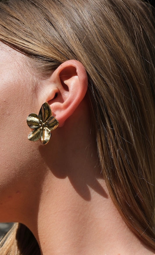 Boucles d'oreilles Alyssa